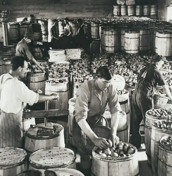File:Burgess warehouse EShields.jpg