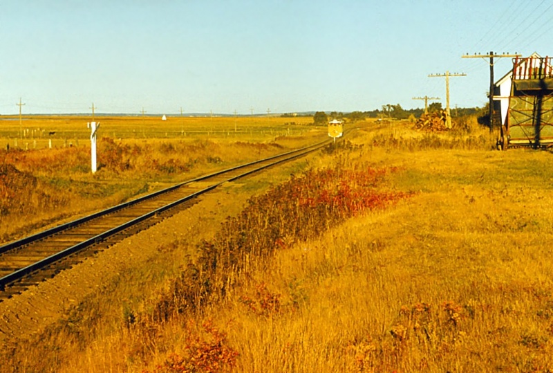 File:DAR RDC 2.jpg