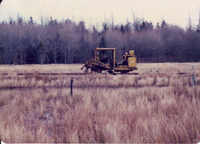 File:Mow bloomfield2.jpg