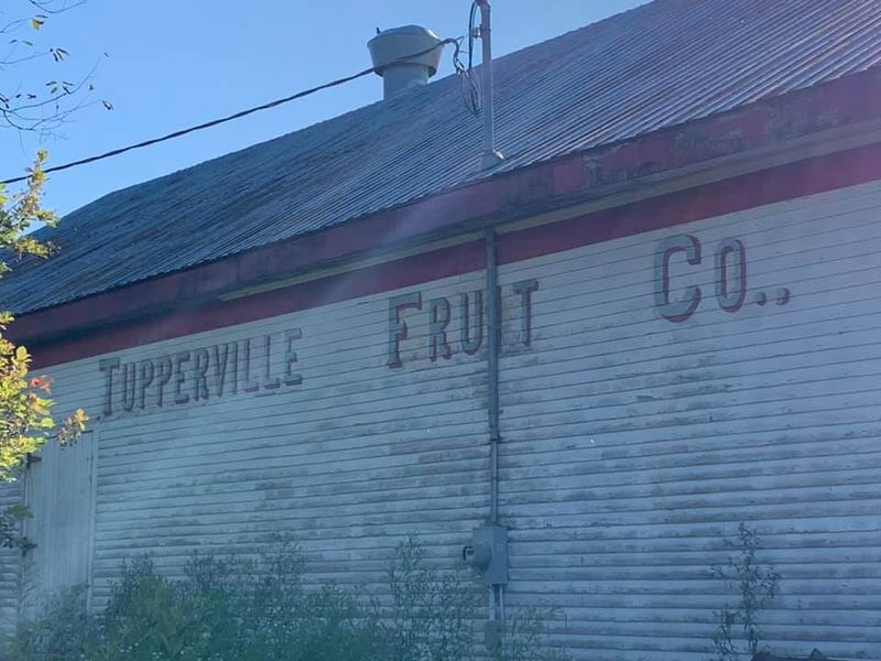 File:Tupperville Fruit Company 02.jpg