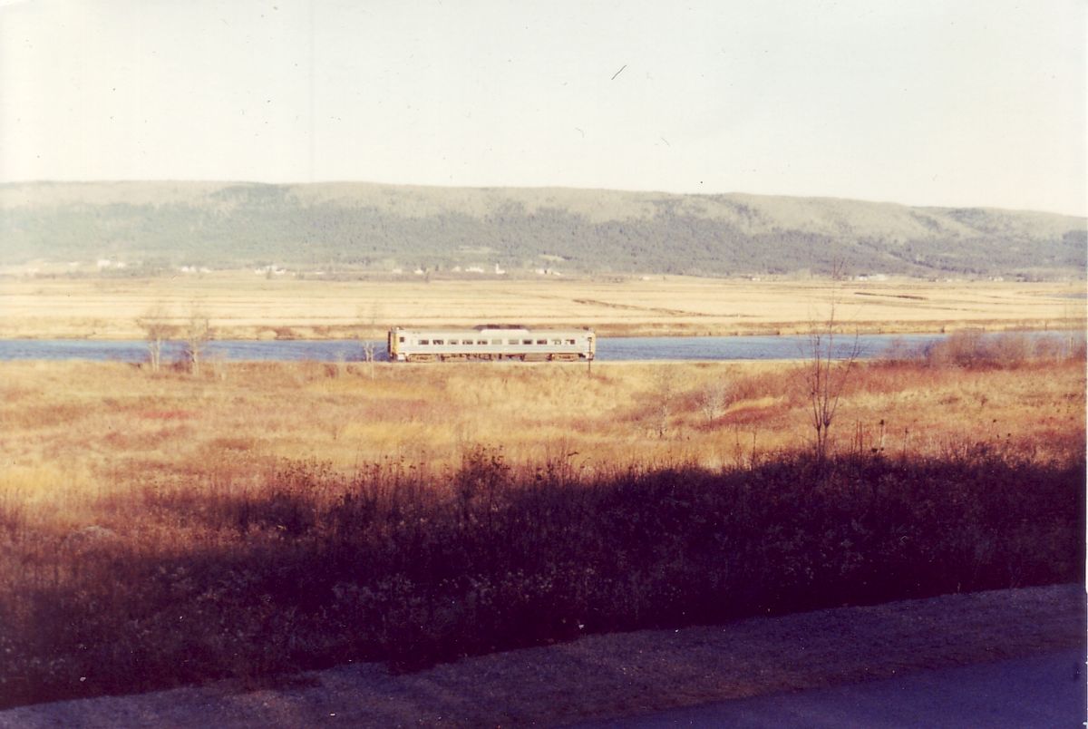 FileUpper clements 1989.jpg DARwiki