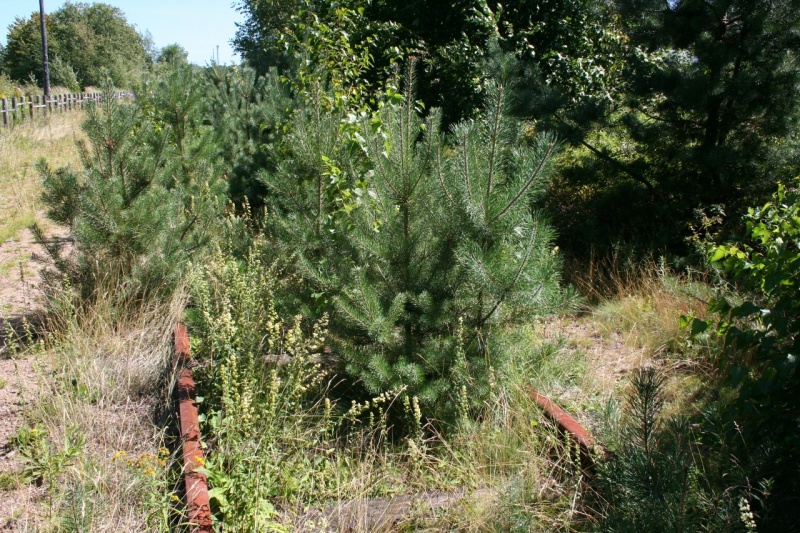 File:Wolfville 3 (1280x853).jpg