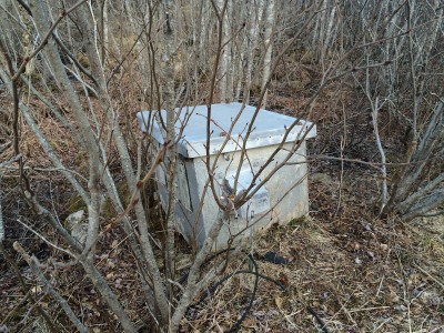 IMG_1667.JPG
