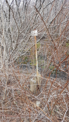 South Ohio 2