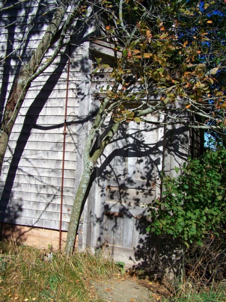 File:100 1366.jpg