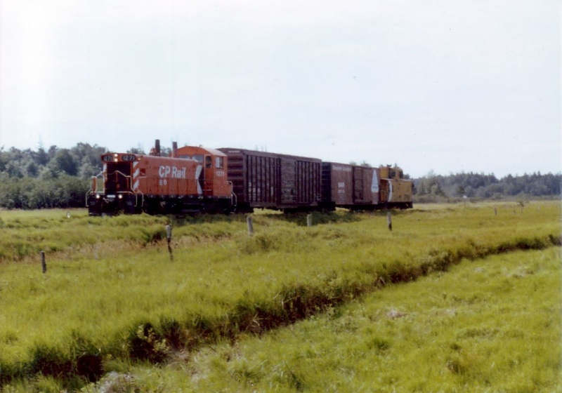 File:1271bloomfield3.jpg