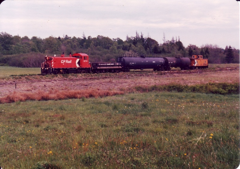 File:1274 bloomfield.jpg