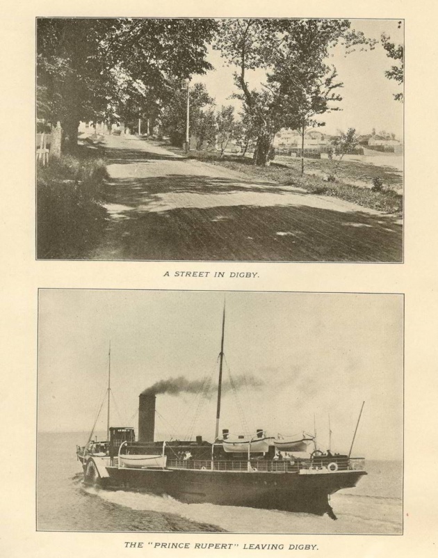 1903-LANDOFEVANGELINE-P02.jpg