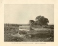 1903-LANDOFEVANGELINE-P09.jpg
