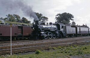 2526.jpg