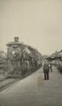 2665 at Digby.jpg