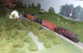 AppleCapitalorchard.jpg