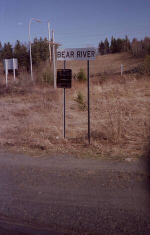 BearScan10004.JPG