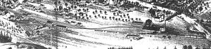 Birdseyerailyard.jpg