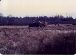 Bloomfield kershaw tie crane.jpg