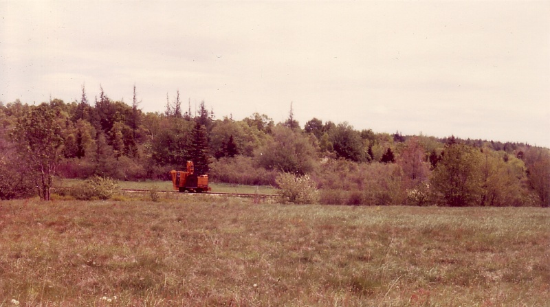 File:Brushcutter1.jpg