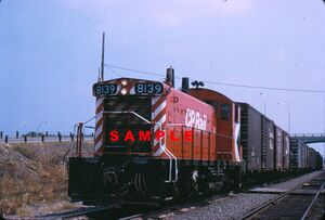CPR8139f.jpg
