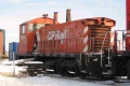 CP 8131.jpg