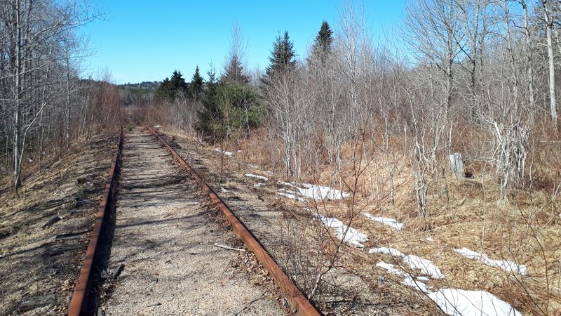 File:ClaremontsSiding.jpg