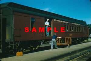 DAR003268a.jpg