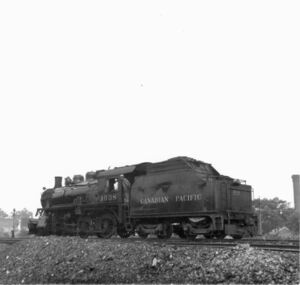 DAR1038a.jpg