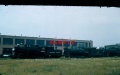 DAR2627f at Angus 1959.jpg