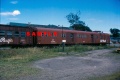DAR411745a.jpg