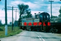 DAR8133a.jpg
