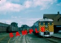 DAR9059-8136.jpg