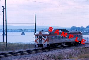 DAR9059g.jpg