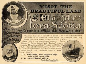 DAR adv 1906.jpg