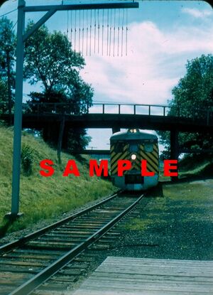 Dayliner at Annapolis Royal.jpg
