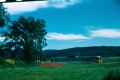 Dayliner near Bridgetown 1956.jpg