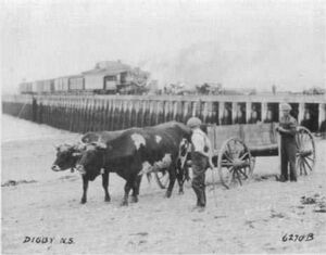 Digby Wharf 02.jpg