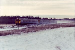 EB at Bloomfield.jpg