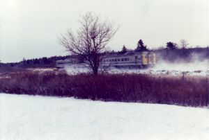 EB at Bloomfieldb.jpg