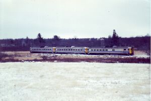 EB at Bloomfieldd.jpg