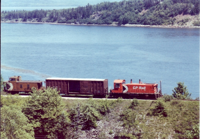 File:Freight bear river.jpg