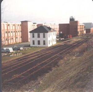 Front of yard.jpg