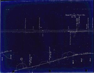 HA-52.42 New Minas Fruit Company.jpg