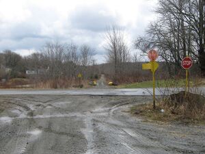 IMG 0125.jpg