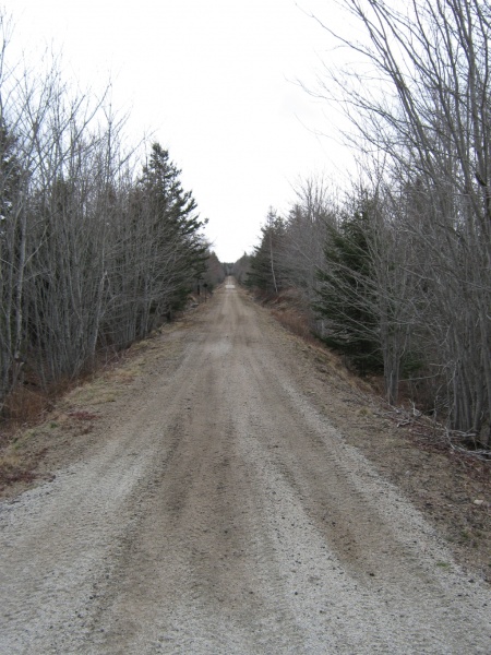 File:IMG 0139.jpg