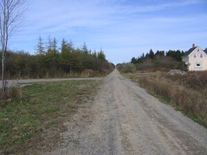 IMG 3836.jpg