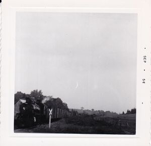 Mantua 1956.jpg
