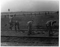 Manual Maintenance at Windsor 02.jpg