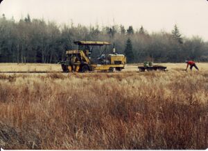 Mow bloomfield4.jpg