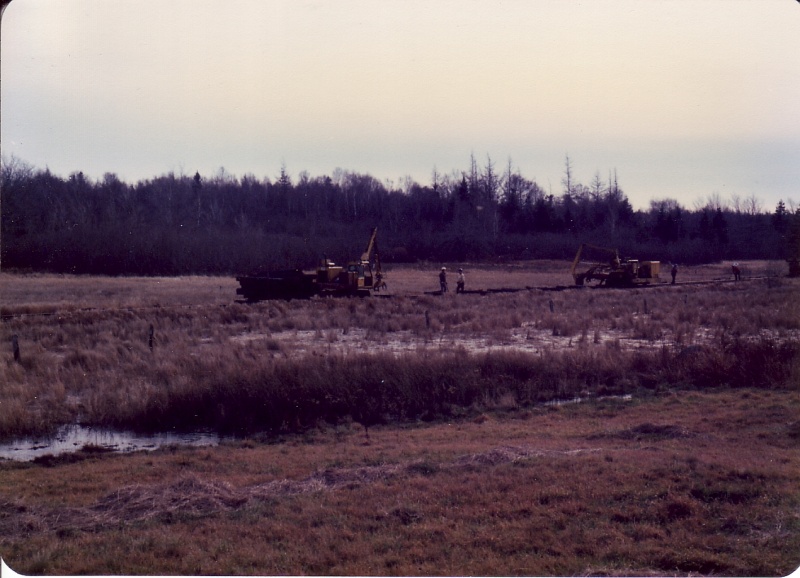 File:Mow bloomfield5.jpg