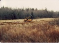 Mow bloomfield9.jpg