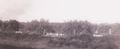Orchard from train.jpg