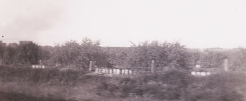 File:Orchard from train.jpg